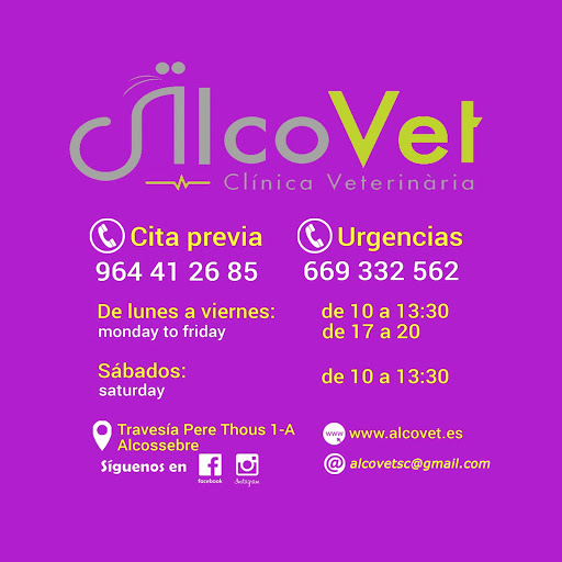 Alcovet Clínica Veterinaria Alcossebre en Alcossebre