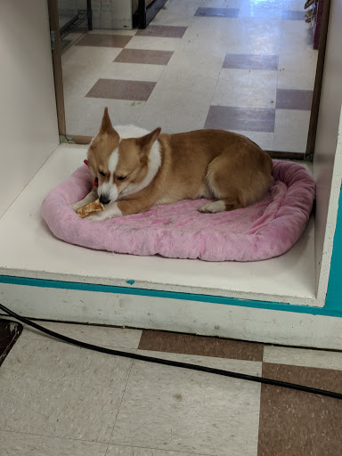 Pet Supply Store «Bubbles2biscuits», reviews and photos, 21897 S Diamond Lake Rd, Rogers, MN 55374, USA