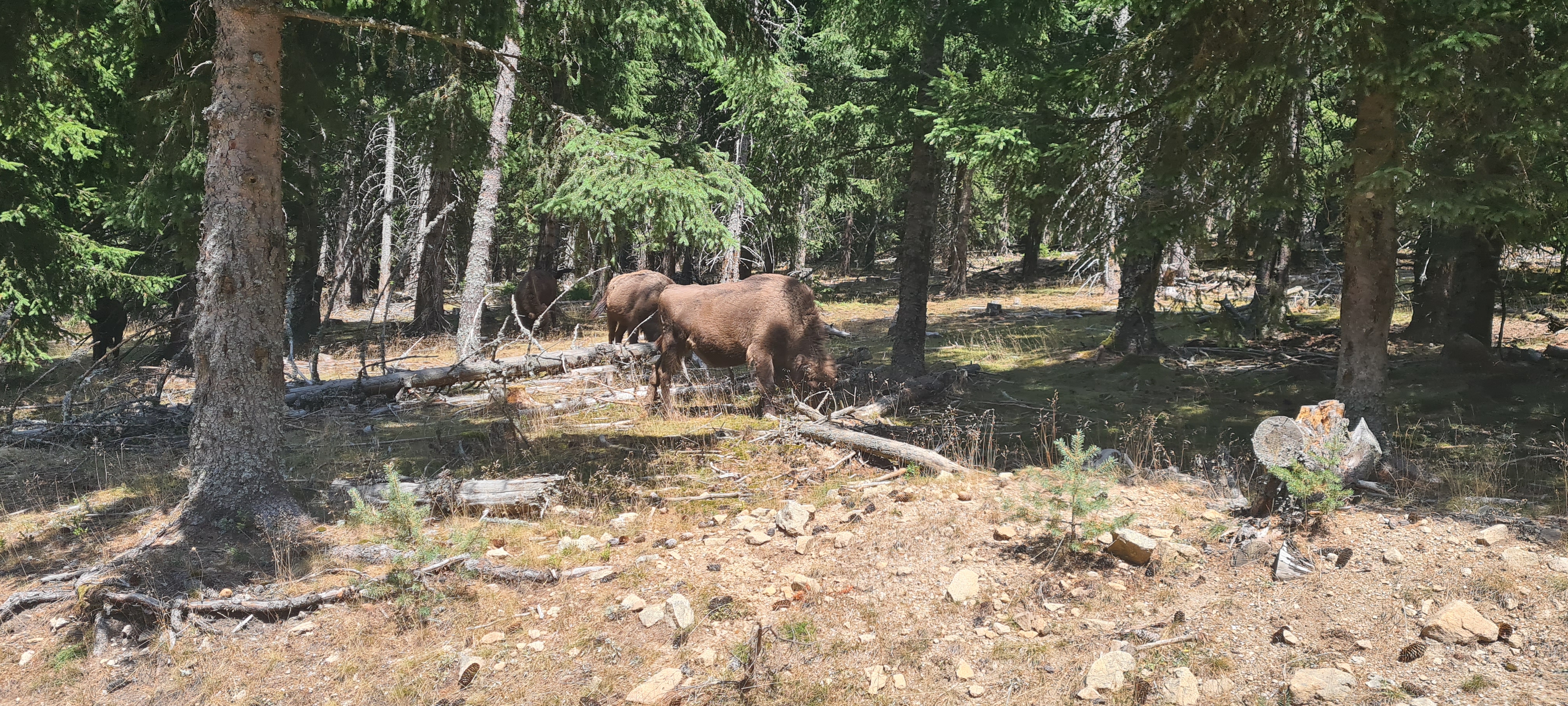 Photo n° 7 de l'avis de Marion.a fait le 05/08/2022 à 13:21