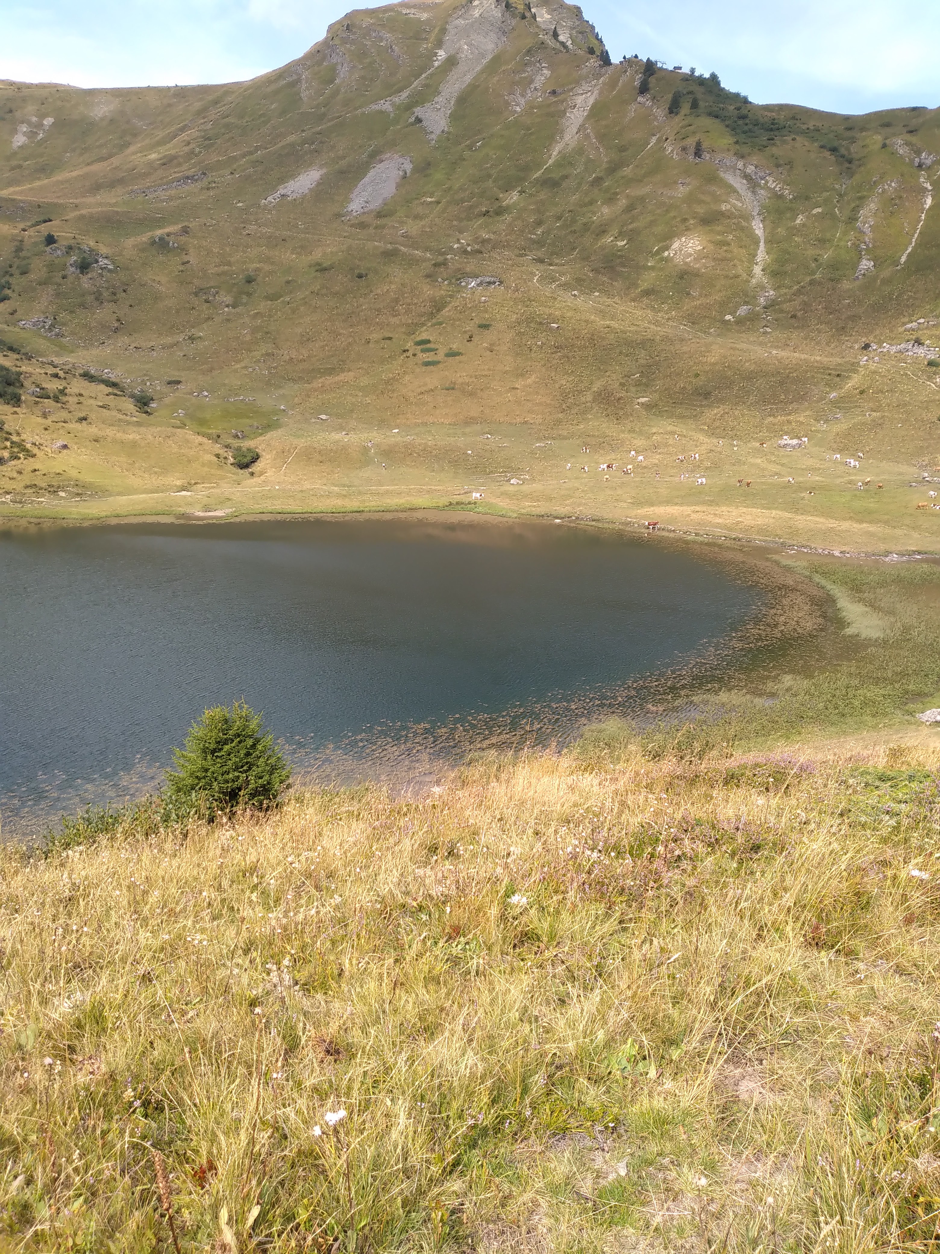 Photo n° 2 de l'avis de kaddour.a fait le 11/08/2023 à 17:57
