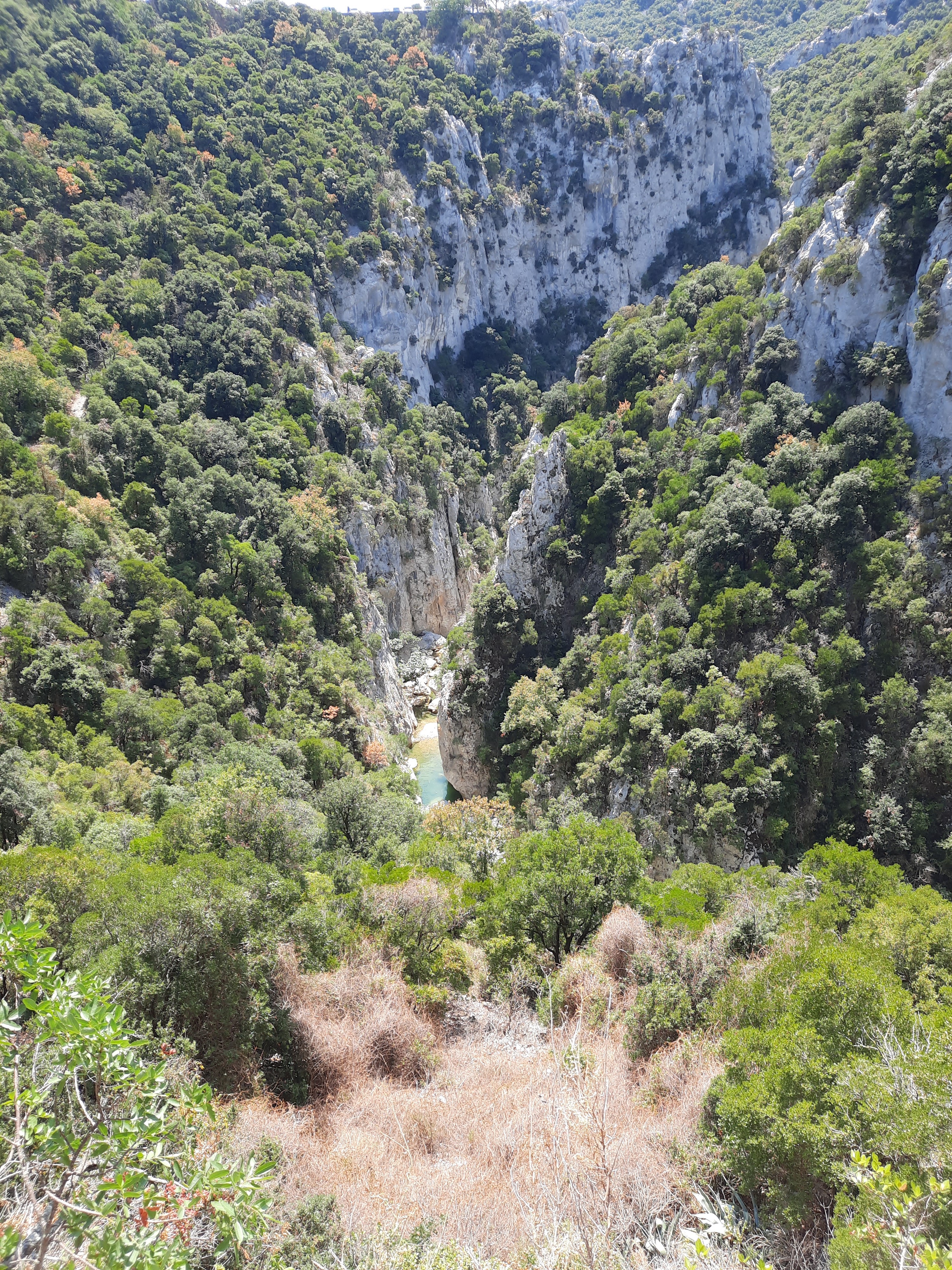 Photo n° 4 de l'avis de léa.� fait le 06/08/2022 à 15:32