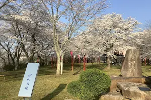 Marukoyama Park image