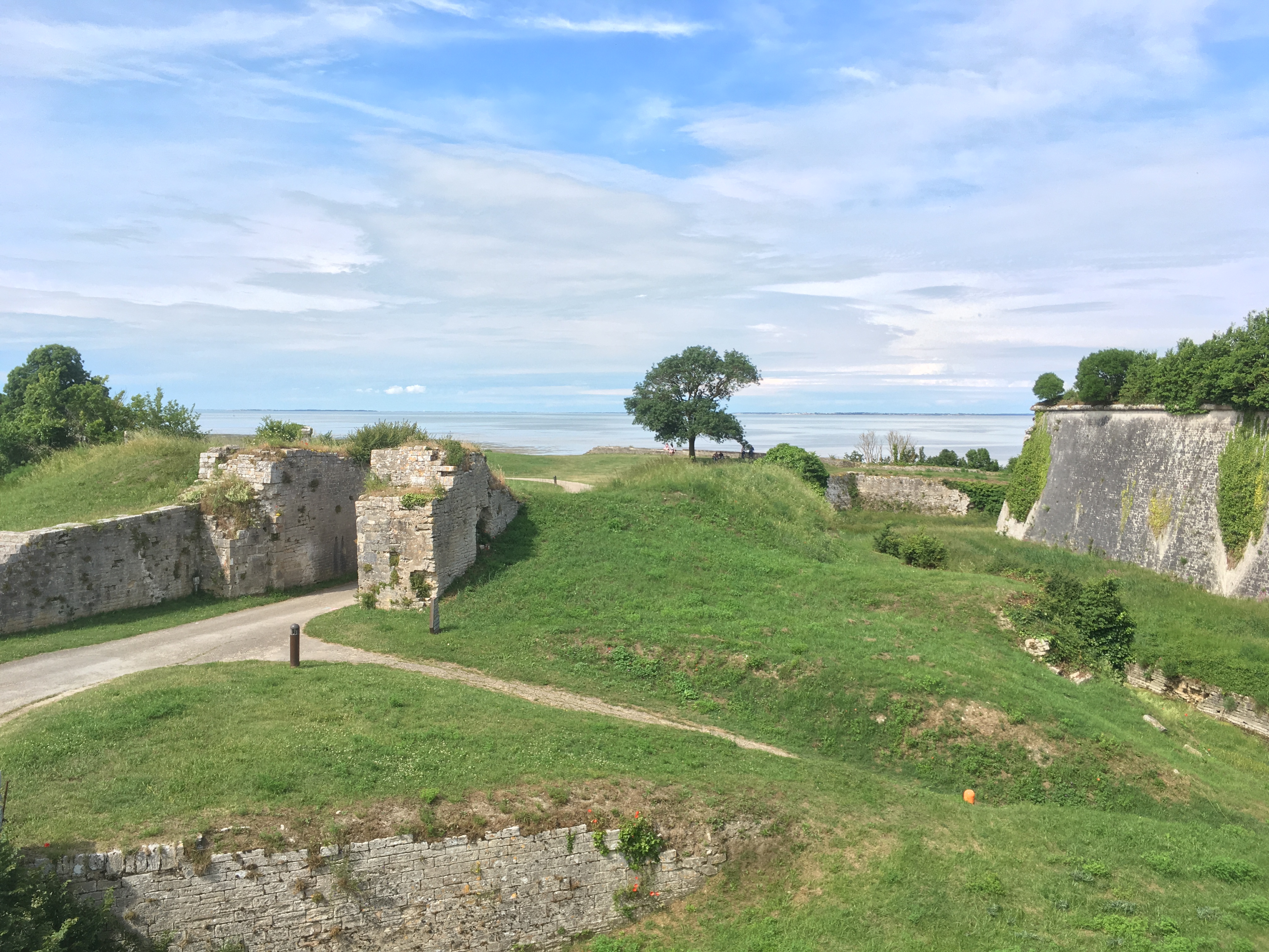Photo n° 1 de l'avis de Paul.e fait le 03/06/2018 à 19:10