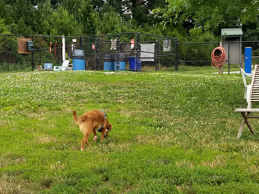 Dog Park «Worthington Off Leash Dog Park», reviews and photos, 8170 Hillsborough Rd, Ellicott City, MD 21043, USA