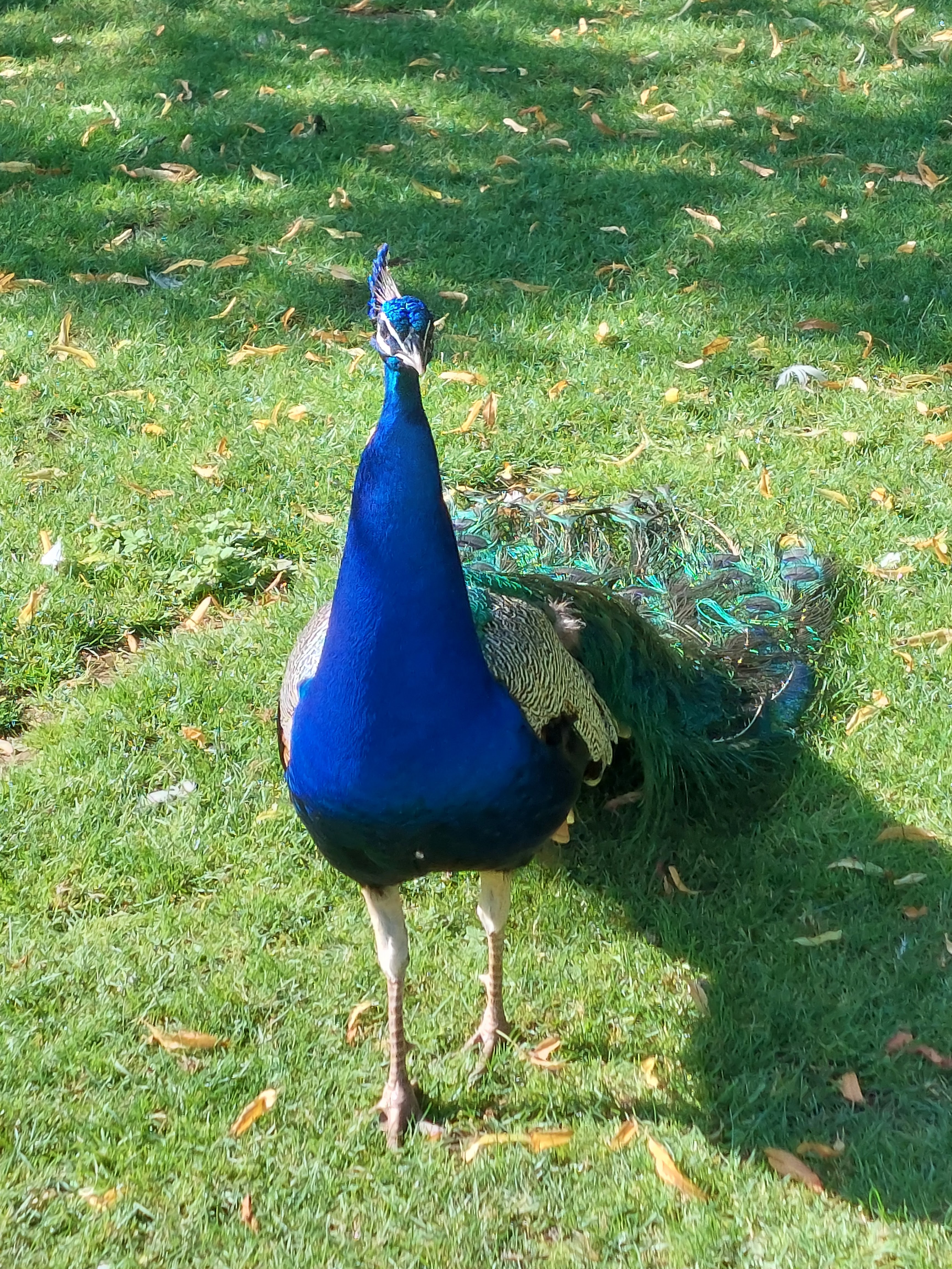 Photo n° 4 de l'avis de Bruno.a fait le 07/07/2023 à 14:52