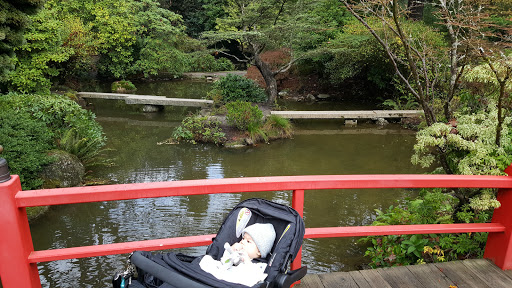 Kubota Garden