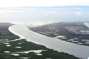 Seine Estuary Nature Reserve image