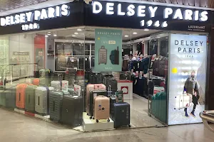 Delsey Paris image