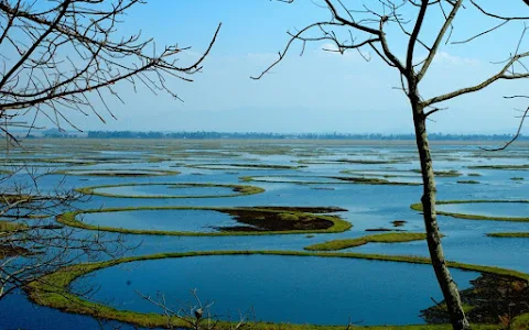 Keibul Lamjao National Park image