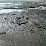 Photo n°4 de l'avis de Bernd.c fait le 10/08/2023 à 16:21 sur le  Restaurant Arche Noah à Sankt Peter-Ording