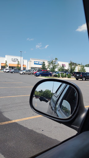 Dollar Store «Dollar Tree», reviews and photos, 171 W Lee Hwy, Warrenton, VA 20186, USA