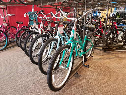 Bicycle Store «Trek Bicycle Store of Estero», reviews and photos, 8001 Plaza del Lago Dr #101, Estero, FL 33928, USA