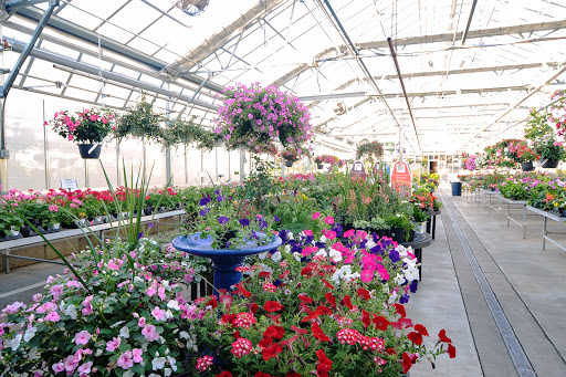 Florist «Dundalk Florist», reviews and photos, 7233 German Hill Rd, Dundalk, MD 21222, USA