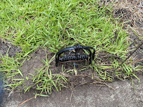 365 Wildlife and Pest Control, L.L.C. - Photo 6 - Car repair in , Myrtle Beach