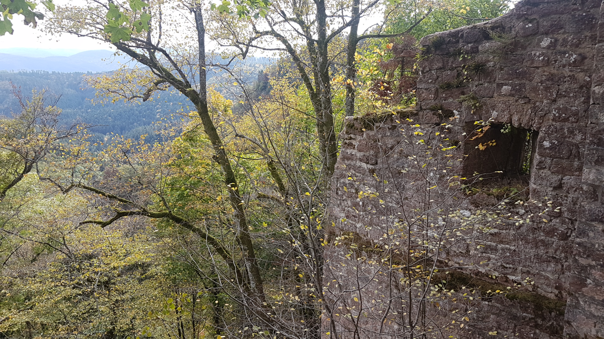 Photo n° 3 de l'avis de Alain.c fait le 13/10/2019 à 18:50
