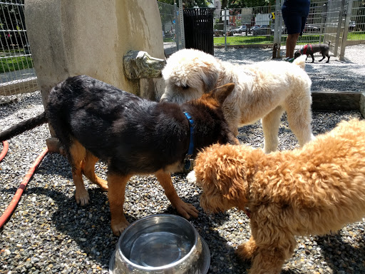 Dog Park «Church Square Park Dog Park», reviews and photos, 401-449 Willow Ave, Hoboken, NJ 07030, USA