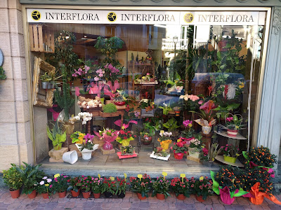BORIE FLEURS à Millau