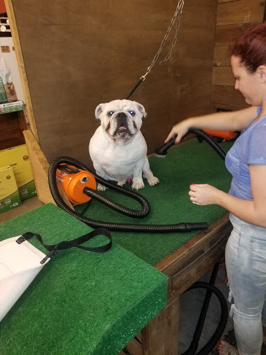 Pet Supply Store «Wags & Whiskers - West Nashville», reviews and photos, 3731 Charlotte Ave, Nashville, TN 37209, USA