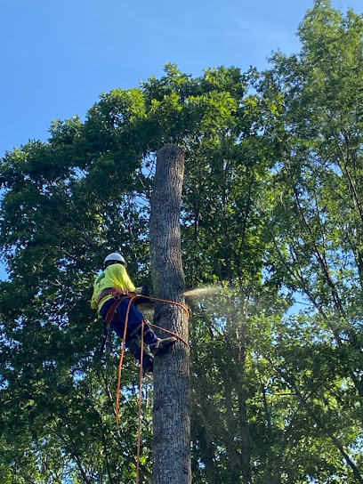 Carlos Tree Service & Landscaping