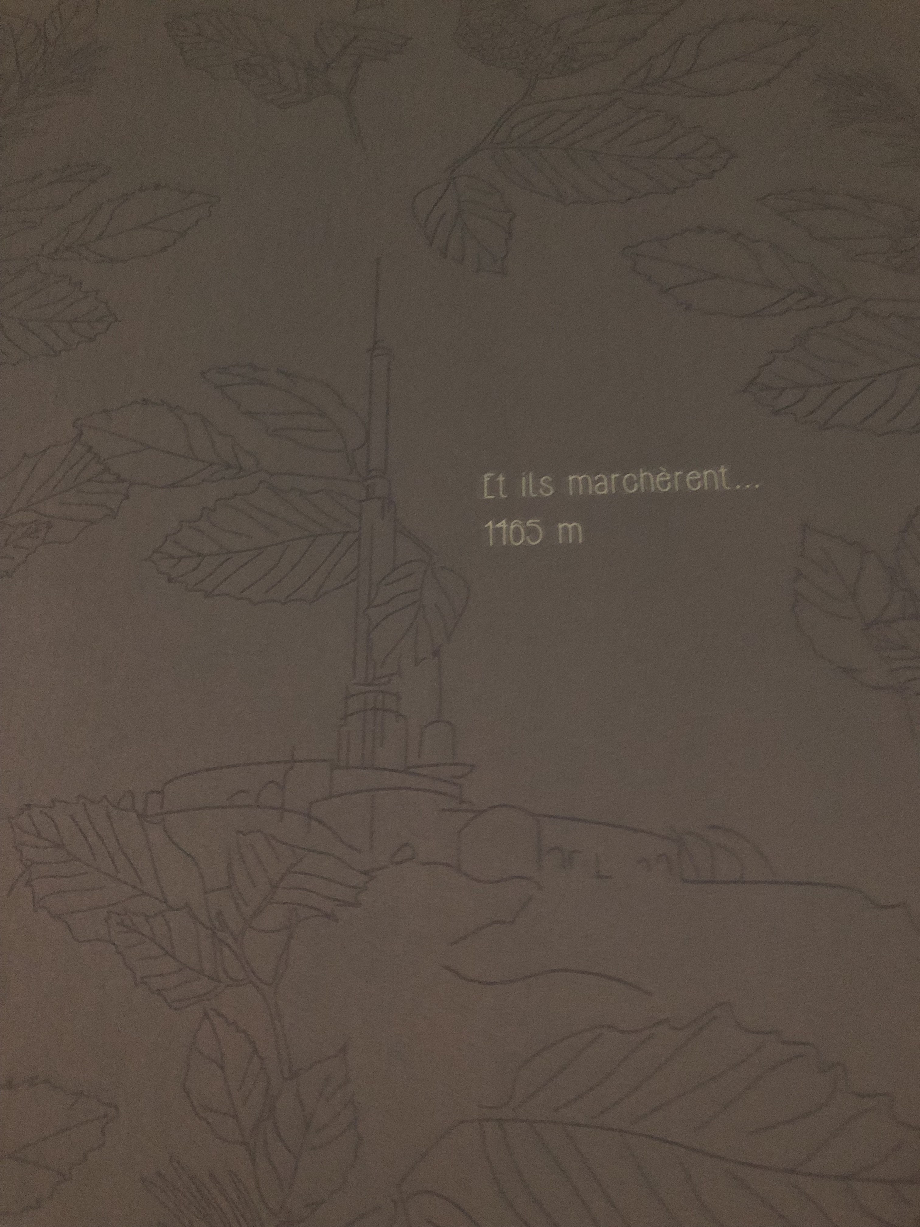Photo n° 9 de l'avis de MENARD.h fait le 12/12/2021 à 15:17