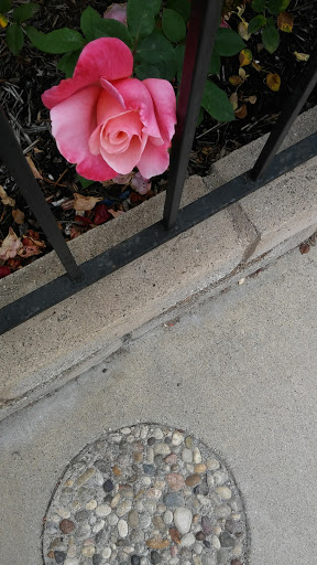 Shopping Mall «Country Hills Shopping Center», reviews and photos, 2905 Rolling Hills Rd, Torrance, CA 90505, USA