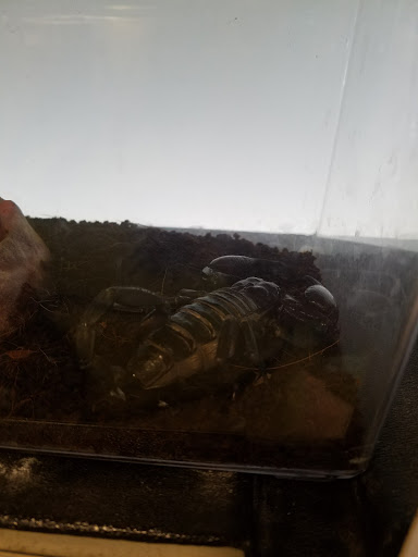 Pet Supply Store «PetSmart», reviews and photos, 466 S Watson Rd, Buckeye, AZ 85326, USA