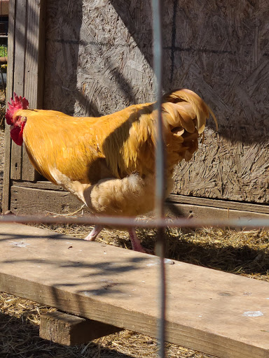 Produce Market «Highland Orchards Farm Market», reviews and photos, 1431 Foulk Rd, Wilmington, DE 19803, USA
