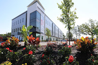 Masonboro Advisors - Photo 5 - Car repair in Wilmington, NC, Wilmington