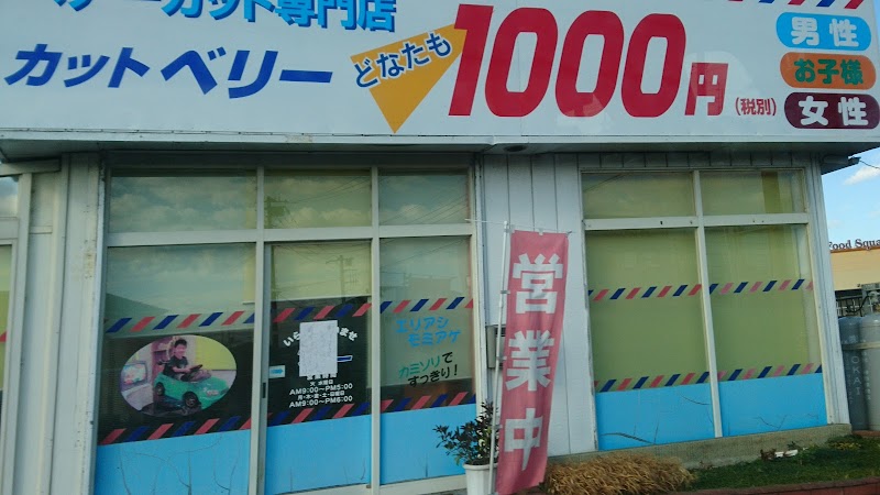 1000円カットベリー