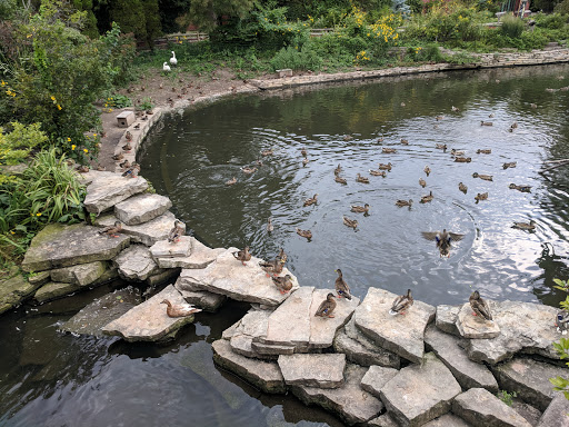 Park «Lincoln Park», reviews and photos, 2045 N Lincoln Park W, Chicago, IL 60614, USA