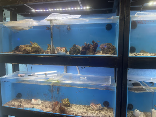 Aquarium «Reef Lovers Aquariums», reviews and photos, 9888 Southern Blvd, West Palm Beach, FL 33411, USA