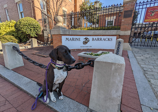 Donut Shop «District Doughnut», reviews and photos, 749 8th St SE, Washington, DC 20003, USA