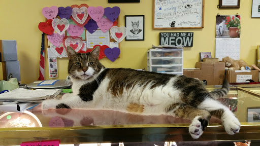 Shopping Mall «Promenade Shopping Plaza», reviews and photos, 9840 FL A1AAlt, Palm Beach Gardens, FL 33410, USA