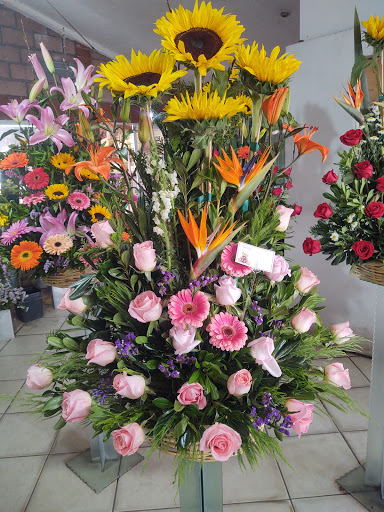 Florería Las Villas – Ciudad López Mateos