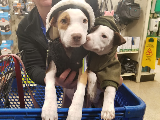 Pet Supply Store «PetSmart», reviews and photos, 3995 Welsh Rd, Willow Grove, PA 19090, USA