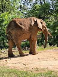 Photo n°5 de Zoo de La Flèche à La Flèche ()