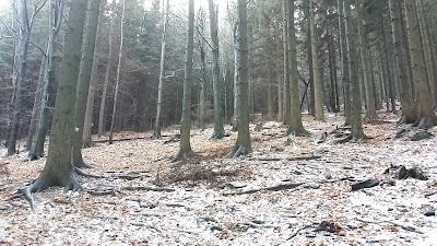 Photos of Golden Tower Chlum