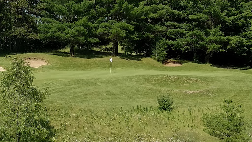 Golf Course «Mistwood Golf Course», reviews and photos, 7568 Ole White Dr, Lake Ann, MI 49650, USA