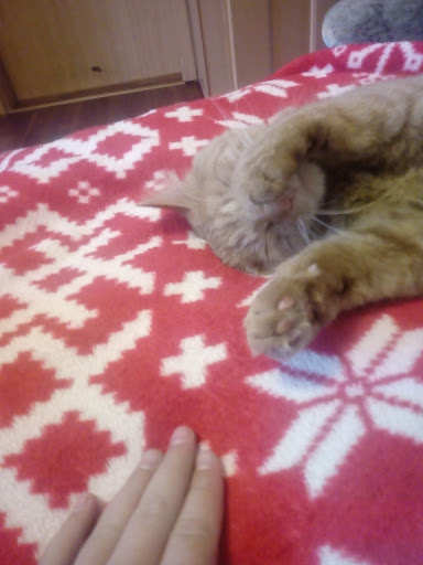 Tierarztpraxis Dr. Radon unter Herzberg, 