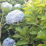 Photo n°9 de l'avis de Marques.r fait le 02/08/2020 à 16:24 sur le  Albergue de Peregrinos Srª da Hora à Sra. da Hora