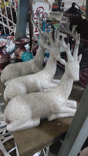 Home Improvement Store «Tractor Supply Co.», reviews and photos, 5359 W US Hwy 90, Lake City, FL 32055, USA