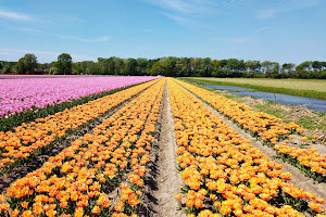 Vakantiehuisje Noordwijk