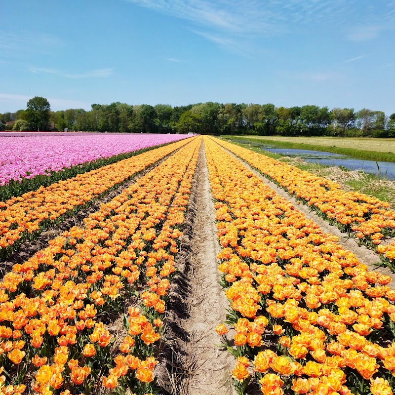 Vakantiehuisje Noordwijk