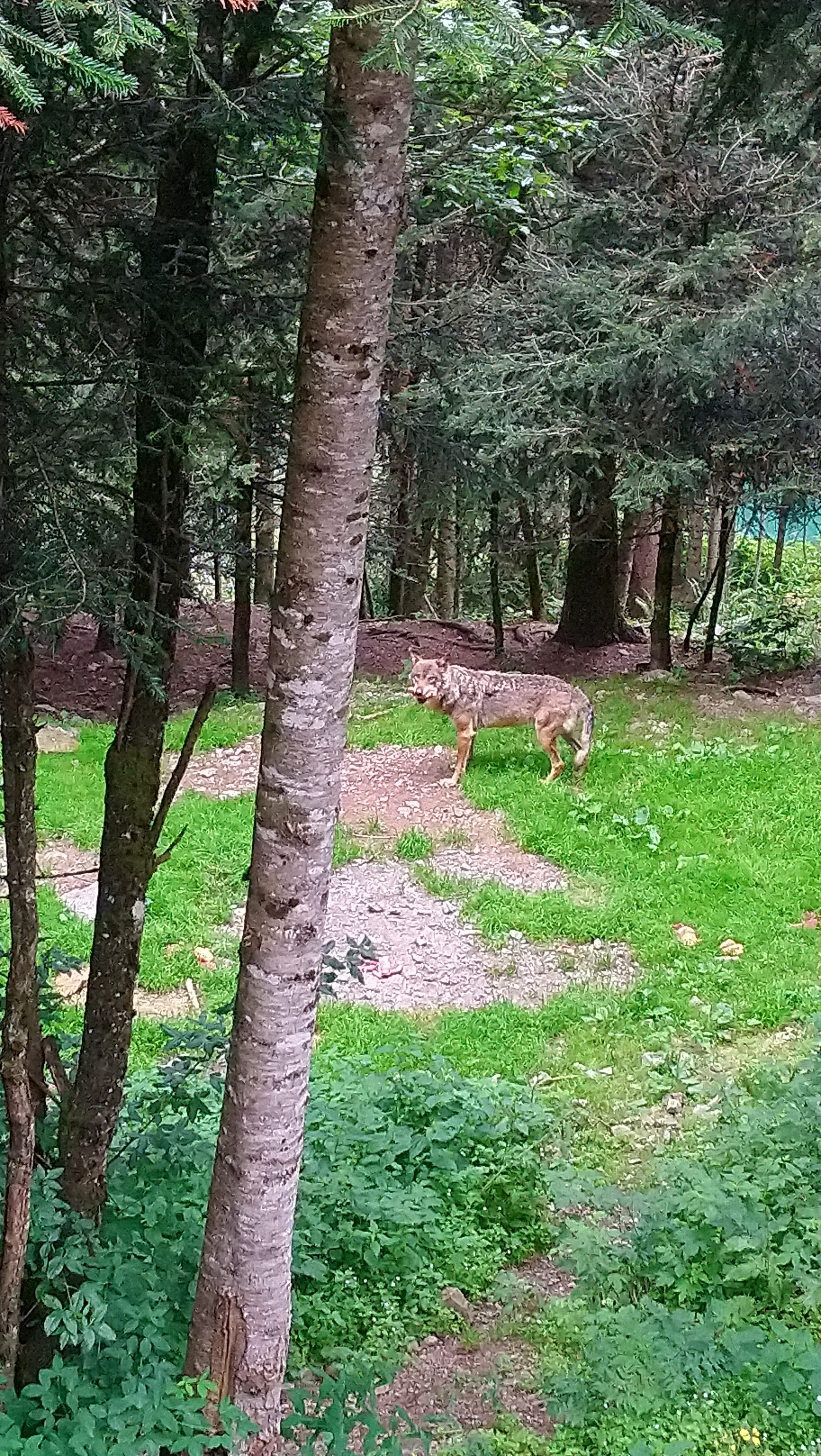 Photo n° 12 de l'avis de CHRISTOPHE. fait le 02/08/2019 à 07:51