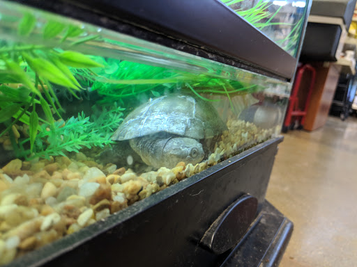 Pet Supply Store «PetSmart», reviews and photos, 3670 Von Schilling Dr, Hampton, VA 23666, USA