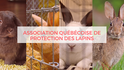 Association Québécoise de Protection des Lapins