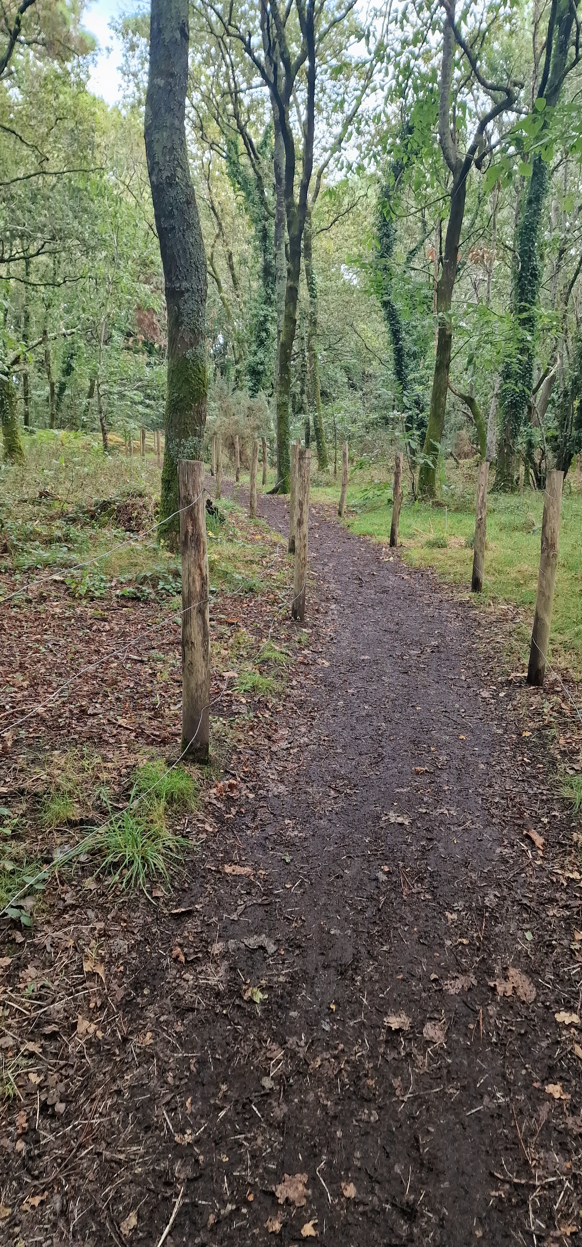 Photo n° 5 de l'avis de Patricialed56. fait le 25/09/2023 à 14:03