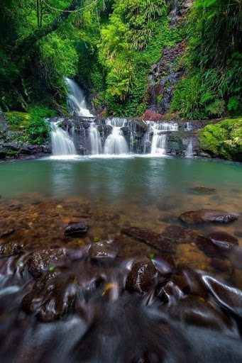 Travel Agency «Sea Escape Travel», reviews and photos, 2795 E Bidwell St, Folsom, CA 95630, USA