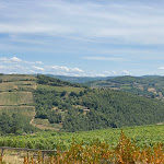 Photo n°6 de l'avis de Aurélia. fait le 02/08/2021 à 22:18 sur le  La Cantinetta Di Rignana à Greve in Chianti