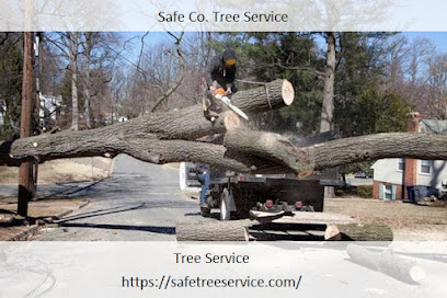 Safe Co. Tree Service - Tree Contractor Loganville GA, Tree Removal